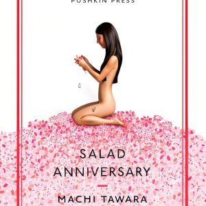 Japanese Literary Criticism by Pushkin Press-0