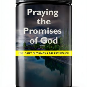 Praying the Promises of God Book 1 Better Life Media Kindle Prayer-0