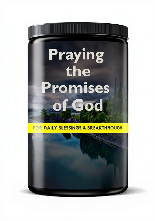 Praying the Promises of God Book 1 Better Life Media Kindle Prayer-0
