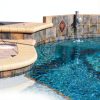 Celatom Diatomaceous Earth DE Pool Filter Aid 50 Lbs for Swimming-1
