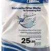 EasyGo Celatom Diatomaceous Earth DE Pool Filter Aid - 25 Lbs for-0